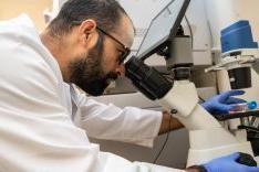 Student wearing lab coat in research lab