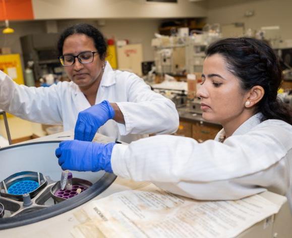 Two graudate students conducting research